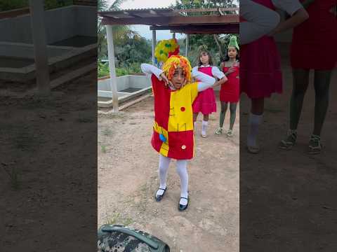 Apresentação linda #humor