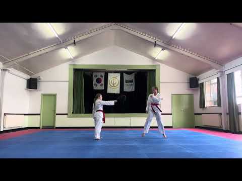 Taekwondo stunt evidence Hannah Deeprose