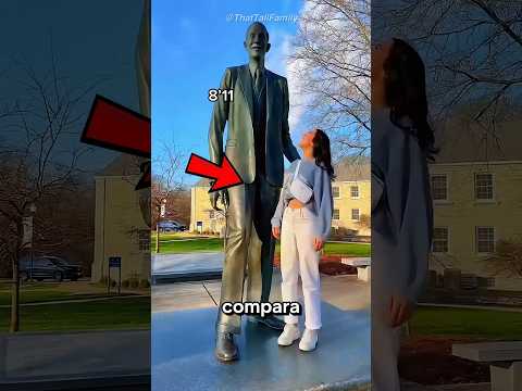 É Assim Que a Família Mais Alta Parece ao Lado do Homem Mais Alto da História 😱📏