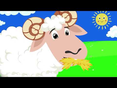 Алфавит - буквы Л, М, Н, О, П, Р - Любаша и Зебра в клеточку Сборник - Песенки для детей