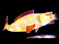 Mid-Autumn Festival Lantern Activities