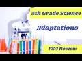 Plant and Animal Adaptations