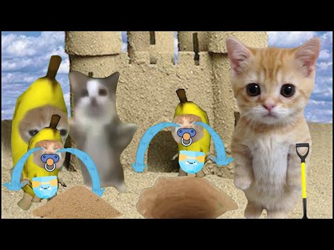 BANANA CAT 🐱 HAPPY AND CRY 😿 VIDEOS 4 ( 6 minutes) #bananacat #bananatime #catmemes