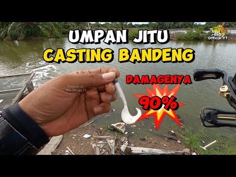 CASTING BANDENG PAKAI SOFT LURE DAMAGE NYA GILA... PANEN PAKAI UMPAN INI...