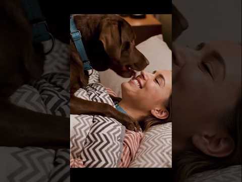 Every Morning Is a Dog Comedy Show #puppy #goldenretreiver #funny #goldenretreivers #retreiver