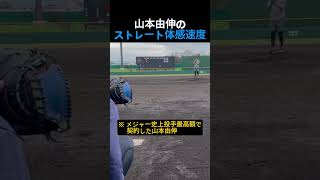 155kmなのに体감160km!? 打者が絶望する山本由伸のストレート