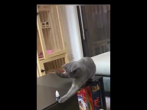 Pha bẻ lái cực gắt nha, tí nữa thì toang cmnr