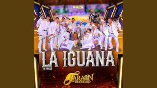 La Iguana (En Vivo)