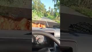 knalpot suara srigala haus