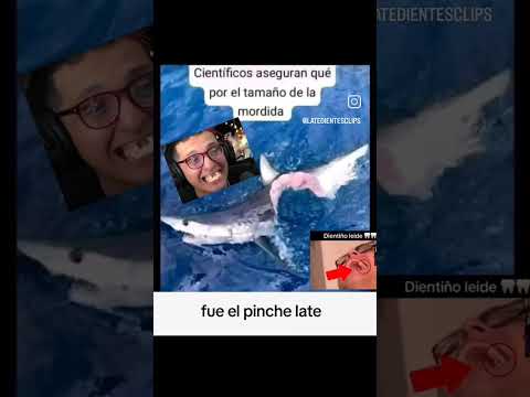 Late ha sido descubierto de sus crimenes