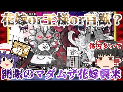 猫の動画サムネイル - 【にゃんこ大戦争】開眼のマダムザ花嫁襲来！激ムズ＆超激ムズ無課金攻略【ゆっくり】