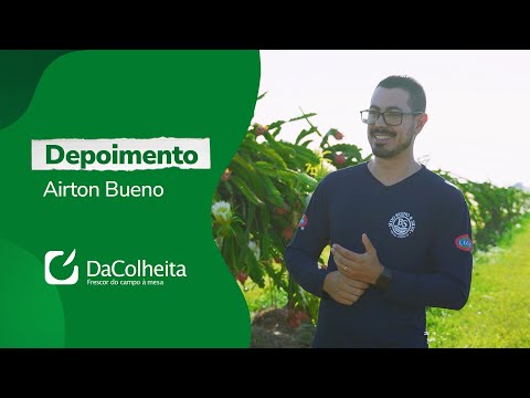 Depoimento: Frutas Luma e DaColheita na exportação da pitaya – Fonte: Termotécnica