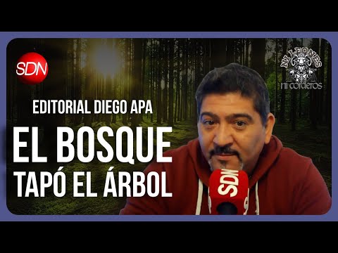 El bosque tapó el arbol | El editorial de Diego Apa en #NiLeonesNiCorderos