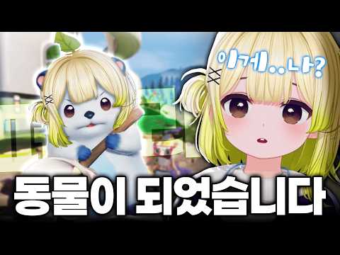 귀여움에 미친 사람이 만든 게임 애니모