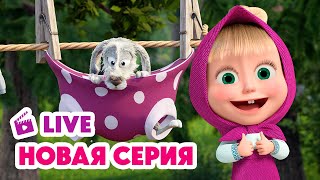 🔴 ПРЯМОЙ ЭФИР! LIVE Маша и Медведь💥 НОВАЯ СЕРИЯ 💥 Скользкий тип 🧼🐰🥕