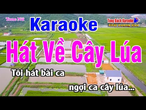 Hát Về Cây Lúa Hôm Nay Karaoke (Tone Nữ) – Nhạc Sống Tùng Bách [ Beat Chuẩn Karaoke ]
