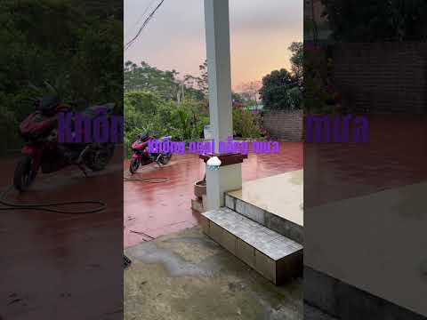 OXYTETRA 50%#thuoc_thu_y @HưngStyleViệtNam