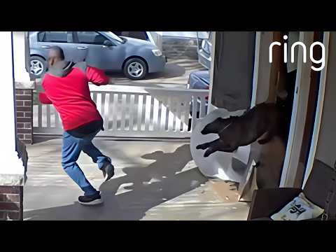 Caught in 4K 😆 Funny Security Camera Videos || ViralHog