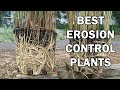 Plant Selection and Erosion Control