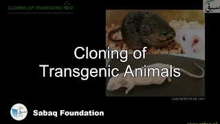 Cloning of Transgenic Animals