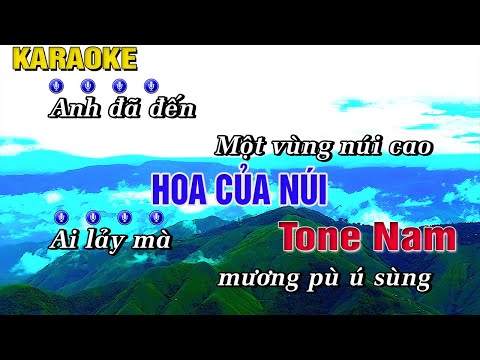 Hoa Của Núi Karaoke Song Ngữ Tone Nam (E) Beat Chuẩn | Trung Hiếu Karaoke