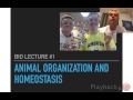 Tissues and Their Functions in Biology