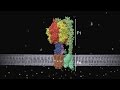 ATP Synthase Functions and Mechanisms