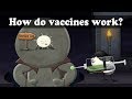 Understanding Vaccines