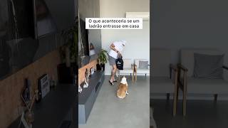 DISSERAM QUE ERA UM CÃO DE GUARDA 🤡