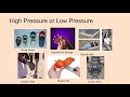 Understanding Pressure and Force Concepts