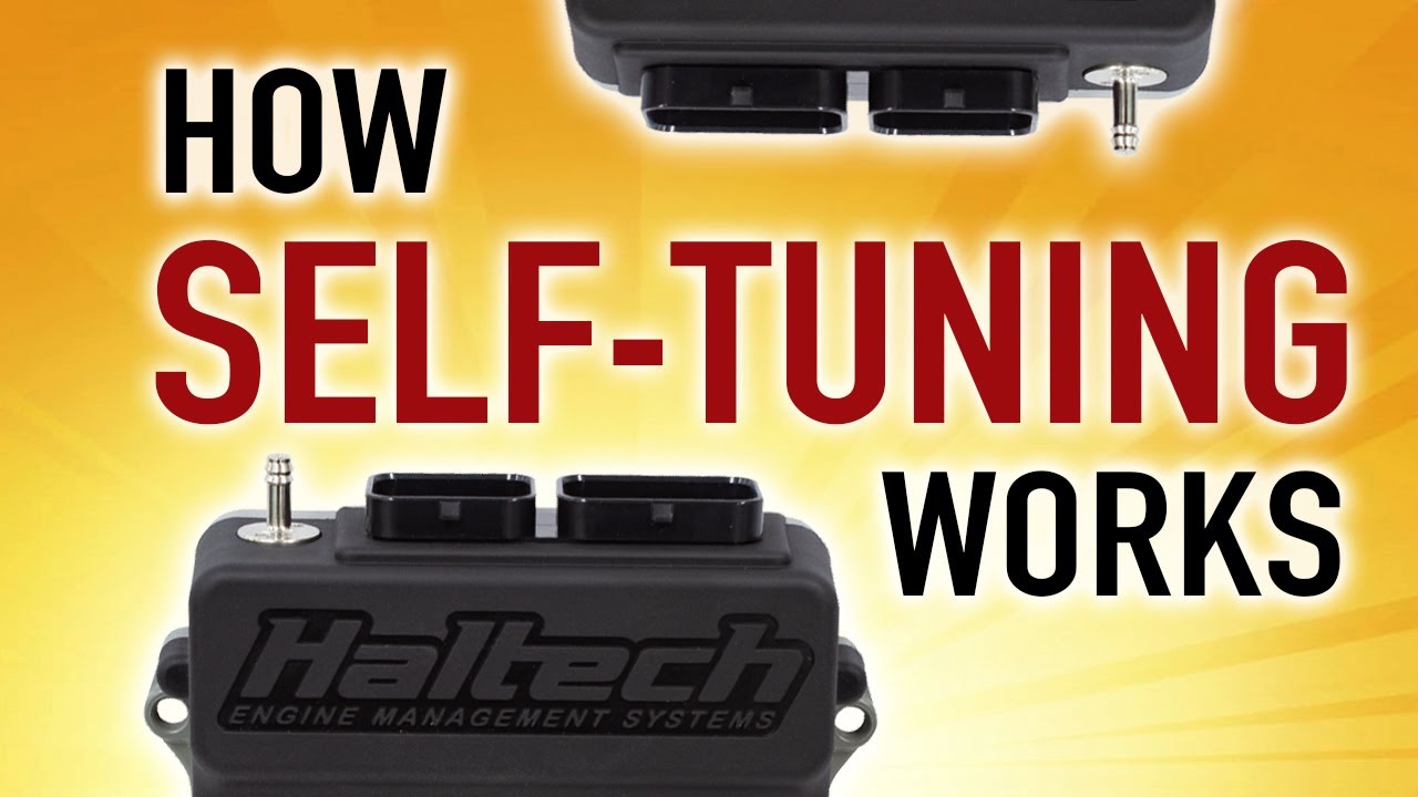 How Self Tuning Works: Short Term vs Long Term Fuel Trim | TECHNICALLY SPEAKING