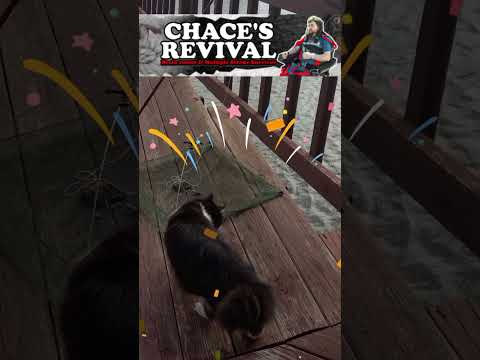 Jack's 16th birthday #shorts