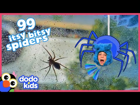 Woman Who’s Afraid Of Spiders Has To Become A Spider Rescuer! | Dodo Kids | Rescued!