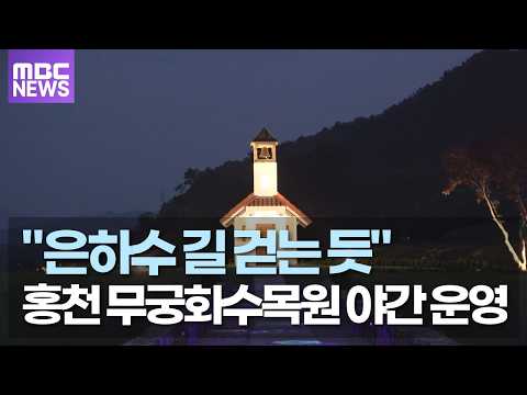 "은하수 길 걷는 듯" 홍천 무궁화수목원 야간 운영 개시