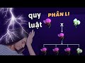 Quy luật di truyền của Mendel