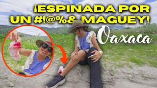 Me accidenté en un palenque de mezcal 😱 + comida típica y artesanía en Oaxaca 🇲🇽