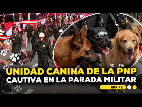 🐶Desfila la Unidad Canina de la PNP: 43 perritos se robaron todas las miradas en Gran Parada Militar