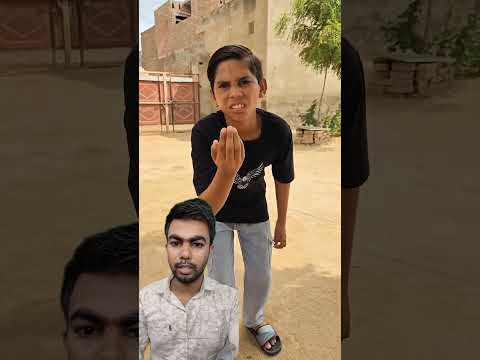 Duckling saves seriously injured cat🐥#DuckRescue#CuteAnimals#AnimalRescue