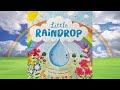 The Journey of a Raindrop