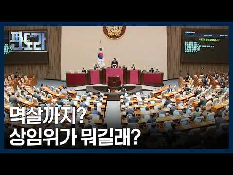 국민의힘 뒤흔든 멱살 사건, 상임위가 뭐길래? [판도라] MBN 260730 방송
