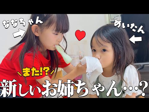 【コラボ】めいたんにまた新しいお姉ちゃんが⋯!?最後は涙😭ななすたじおのななちゃんと過ごす1日に密着! Vlog