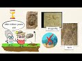 Uncovering Earth's History Through Rock Layers