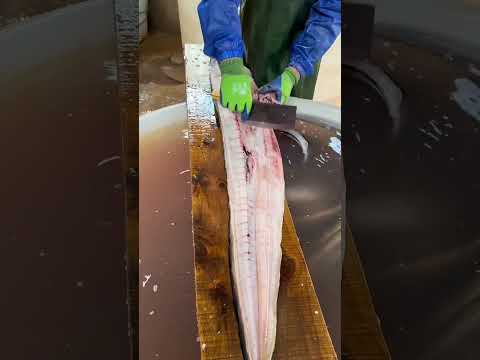 Amazing eel video cutting!