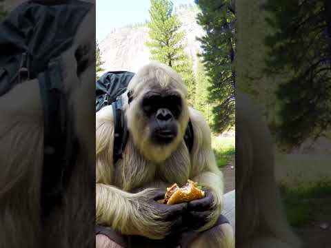 Pranked Rick! #nature #forest #bigfoot #Vlog #bigfeetvlog #bigfootvlog