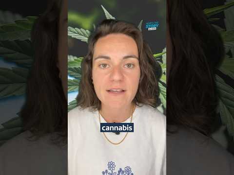 Medicinal cannabis is legal, but is it helping NHS patients? #itvnews #news #health #nhs #politics