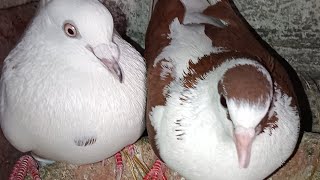 चलो हो जाए थोड़ी सी मौज मस्ती 🤣😂😂🤣😂😂