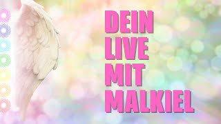 LIVE BERATUNG mit  MALKIEL