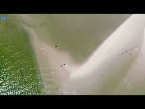 Western Sahara | Worldtripco | Laayoune | North coast in West Africa | Top places in Western Sahara|