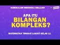 Complex Numbers and Their Representations