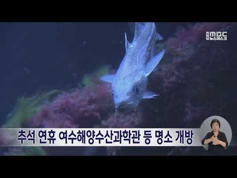추석 연휴 여수해양수산과학관 등 <strong>명소</strong> 개방 (260924목/뉴스데스크)